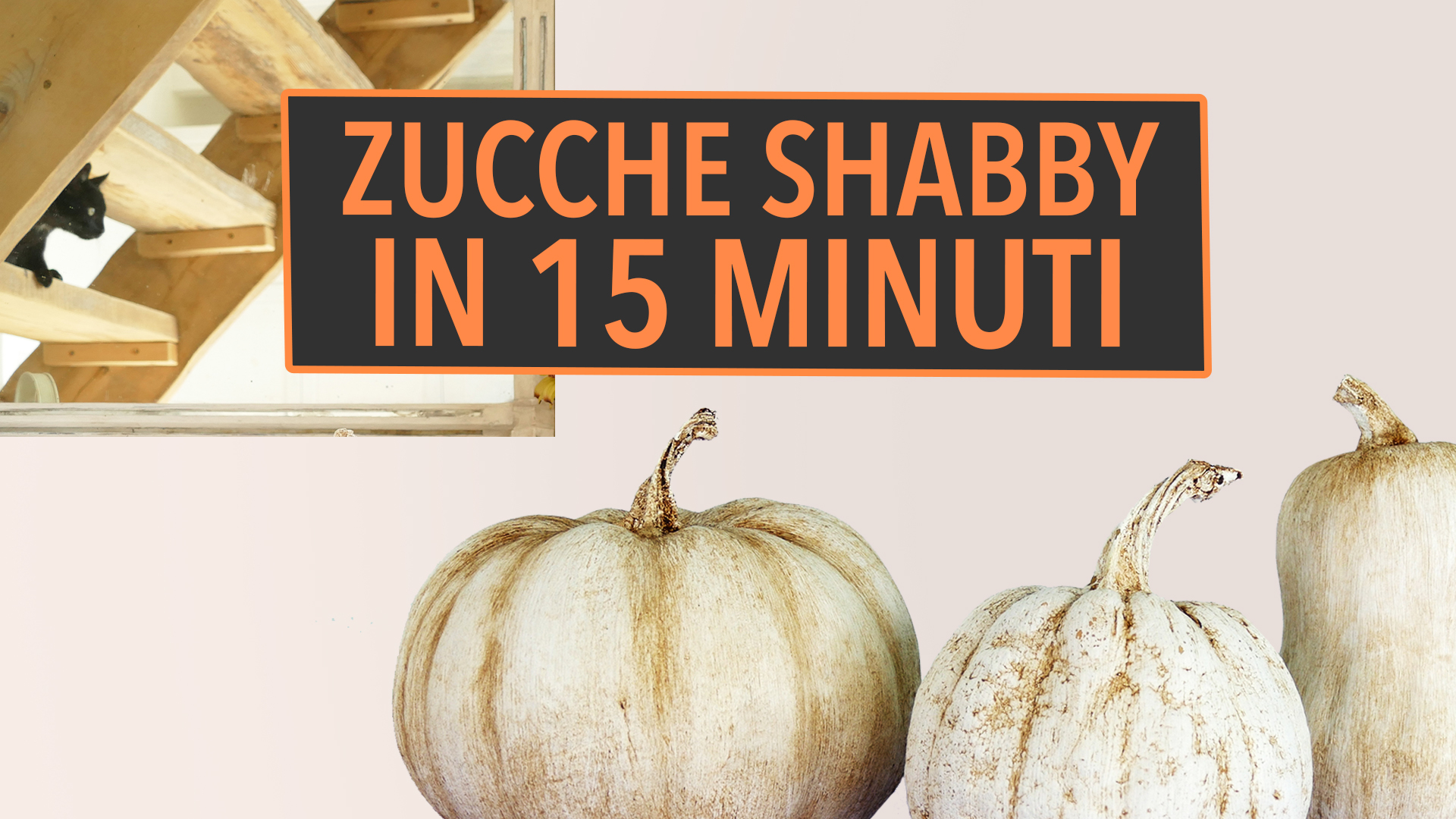 Zucca Shabby Chic Fai da Te in 15 Minuti