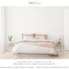 Parete Muro con chalk paint Bianco Antico