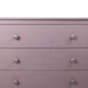 Chalk Paint Prugna