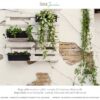 Muro esterno con chalk paint Beige Sabbia
