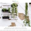 Muro esterno con chalk paint bianco naturale