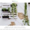Muro esterno con chalk paint GRIGIO PIETRA Muro esterno con chalk paint GRIGIO PIETRA